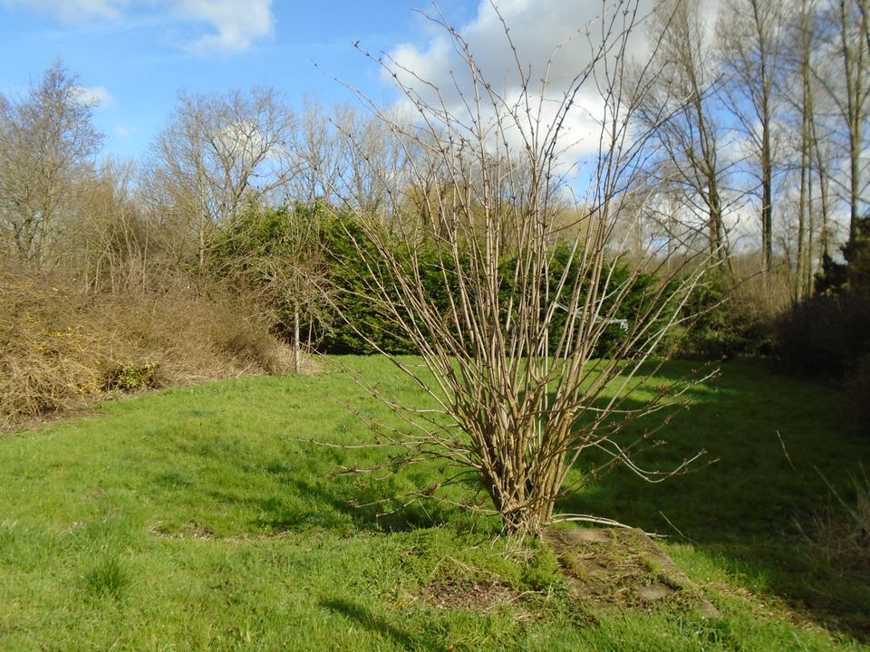 Casa de fazenda em Hesdin, Pas-de-Calais - foto 2